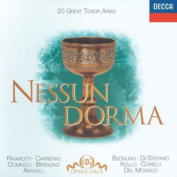 Various Artists - 20 Great Tenor Arias - "Nessun Dorma" - Bizet / Donizetti / Puccini / Verdi etc.