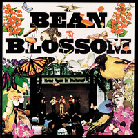 Bill Monroe - Bean Blossom