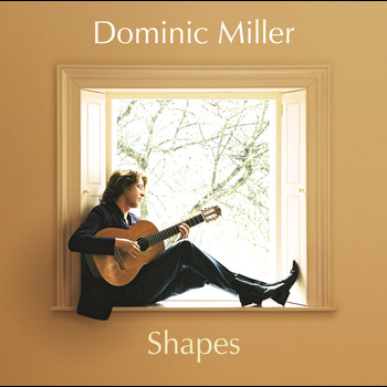 Dominic Miller - Shapes
