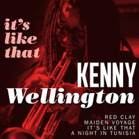 Kenny Wellington - It's Like That