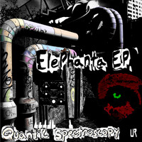 Quantic Spectroscopy - Elephanta EP