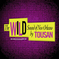 Allen Toussaint - The Wild Sound of New Orleans by Tousan (Original Album - Digitally Remastered)