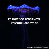 Francesco Terranova - Essential Groove EP