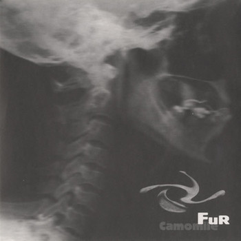 Fur - Camomile