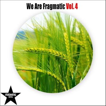 Various Artists - We Are Fragmatic, Vol. 4
