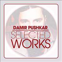 Damir Pushkar - Selected Works