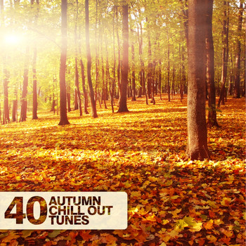 Various Artists - 40 Autumn Chill Out Tunes