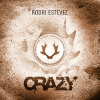 Rodri Estevez - Crazy (Original Mix)