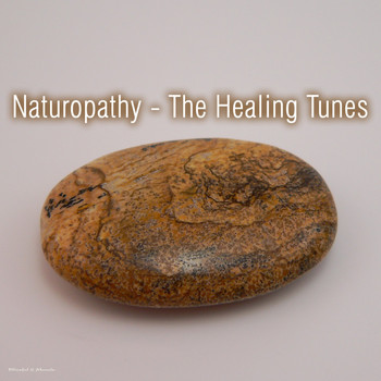 Various Artists - Naturopathy - The Healing Tunes