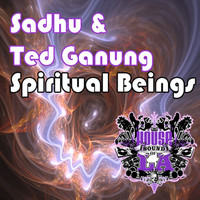 Sadhu - Spiritual Beings