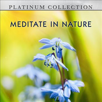 Platinum Collection Band - Meditate in Nature