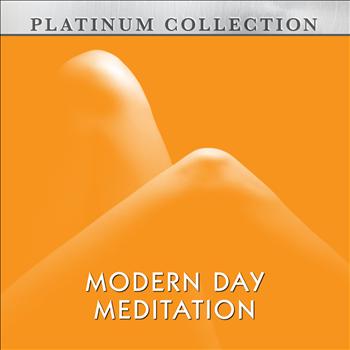 Platinum Collection Band - Modern Day Meditation