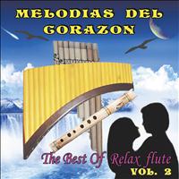 Salasacamanda Shamushpa - Melodias Del Corazon, Vol. 2 (The Best Of Relax Flute)