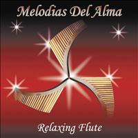 Salasacamanda Shamushpa - Melodias del Alma