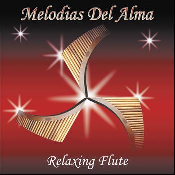 Salasacamanda Shamushpa - Melodias del Alma