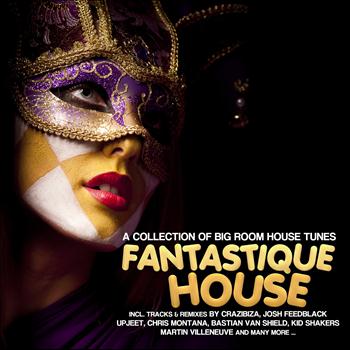 Various Artists - Fantastique House Edition 6