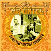Mr. Untel - Electro Gypsy Groove