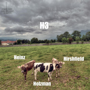 Adam Holzman - H3: Heinz, Holzman, Hirshfield