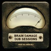 Brain Damage - What You Gonna Do? (Dub Sessions)