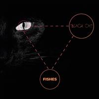 Black Cat - Fishes