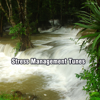 Various Artists - Stress Management Tunes