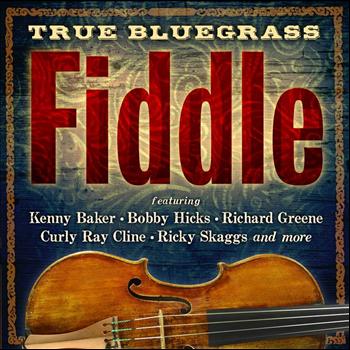 Various Artists - True Bluegrass Fiddle