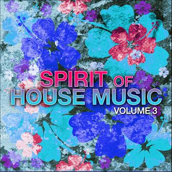 Various Artists - Spirit of House Music, Vol. 3