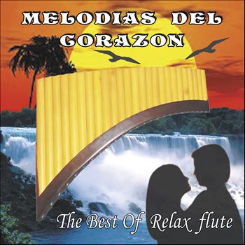 Salasacamanda Shamushpa - Melodias Del Corazon, Vol. 1 (The Best Of Relax Flute)