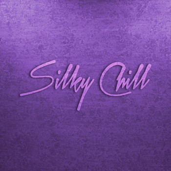 Various Artists - Silky Chill (Chill House & Chill Out)