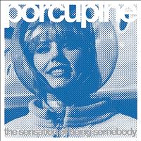 Porcupine - The Sensation of Being Somebody
