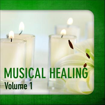Various Artists - Musical Healing, Vol. 1
