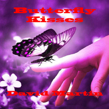 David Martin - Butterfly Kisses