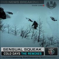 Sensual Squeak - The Cold Days (The Remixes)