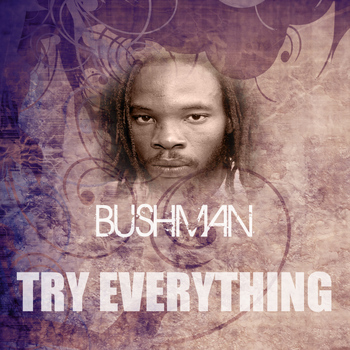 Bushman - Try Everything