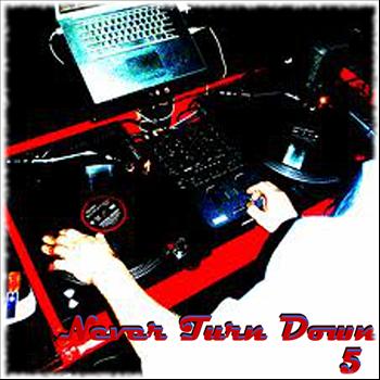 Various Artists - Never Turn Down 5 (Explicit)