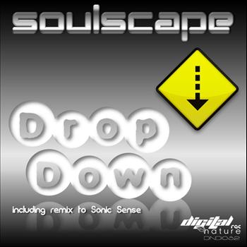 Soulscape - Drop Down - Single