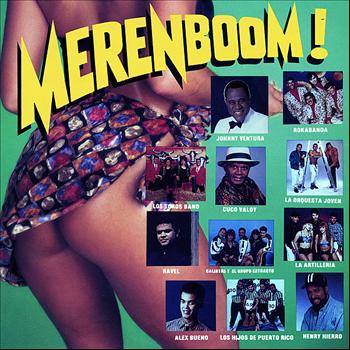 Various Artists - Merenboom!