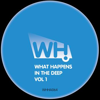 Various Artists - What Happens in the Deep Vol 1