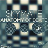 Skymate - Anatomy Of Beats Album
