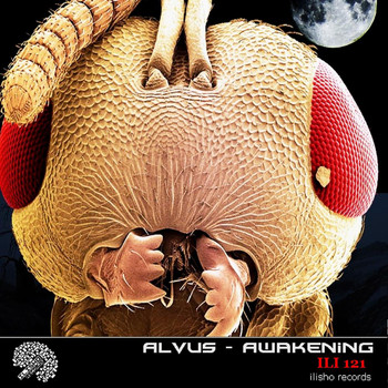 Various Artists - Alvus - Awakening
