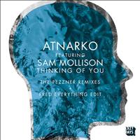 Atnarko - Thinking Of You (Pezzner Remixes/Fred Everything Edits)