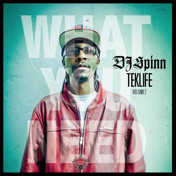DJ Spinn - TEKLIFE Vol.2: What You Need (Explicit)