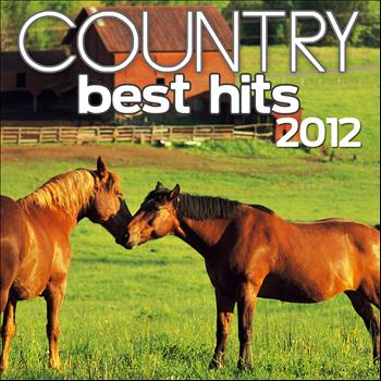Various Artists - Country Best Hits 2012