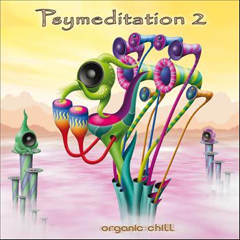Various Artists - Psymeditation 2