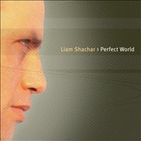 Liam Shachar - Perfect World