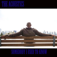 The Acoustics - Somebody I Used To Know (Cover)