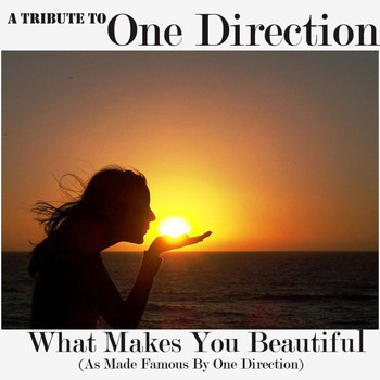 The Acoustics - A Tribute To One Direction (What Makes You Beautiful Cover)