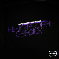 Elektrodrei - Species