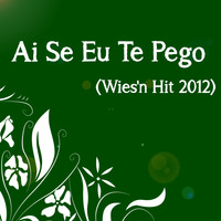 Nossa - Ai Se Eu Te Pego (Wies'n Hit 2012)