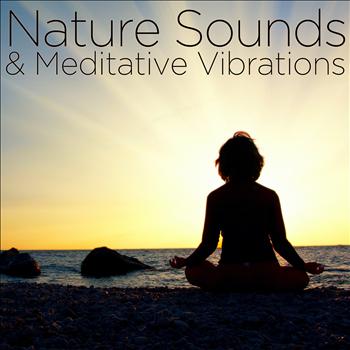 Various Artists - Nature Sounds & Meditative Vibrations